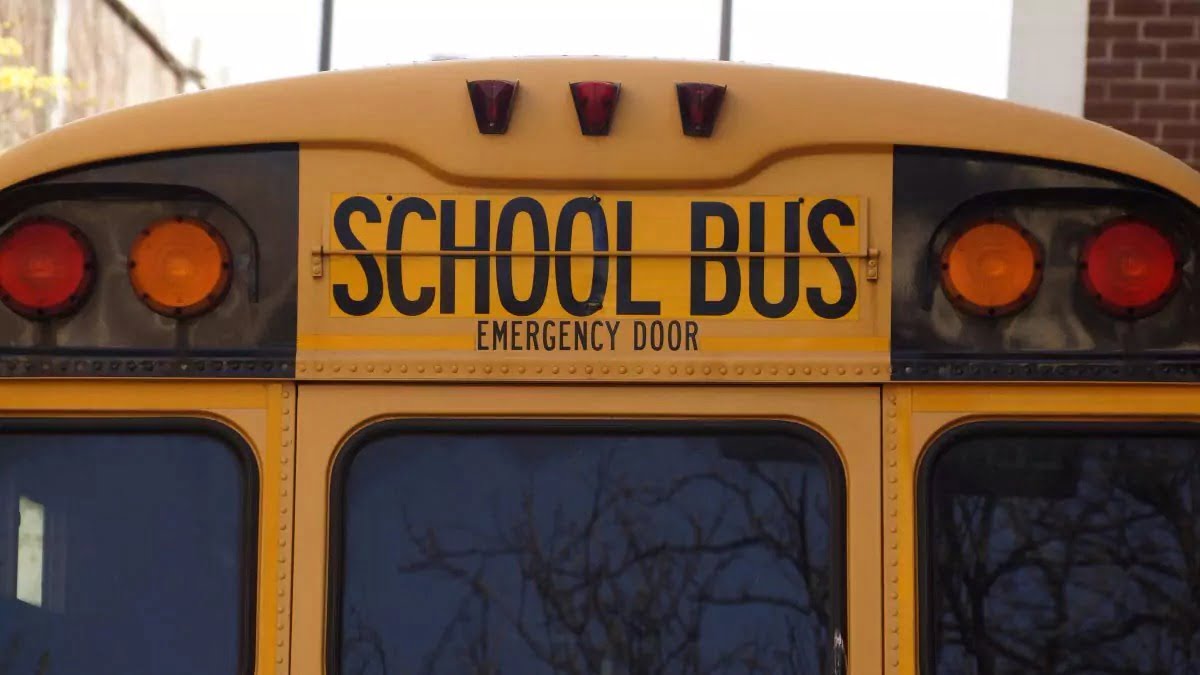 bus-school-school-bus-yellow-159