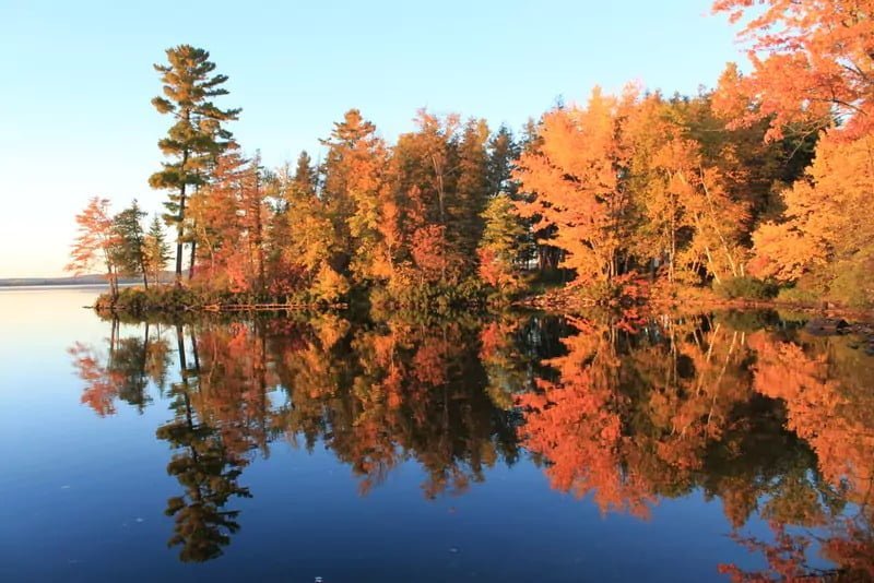 Ontario Walking Trails To Try This Fall