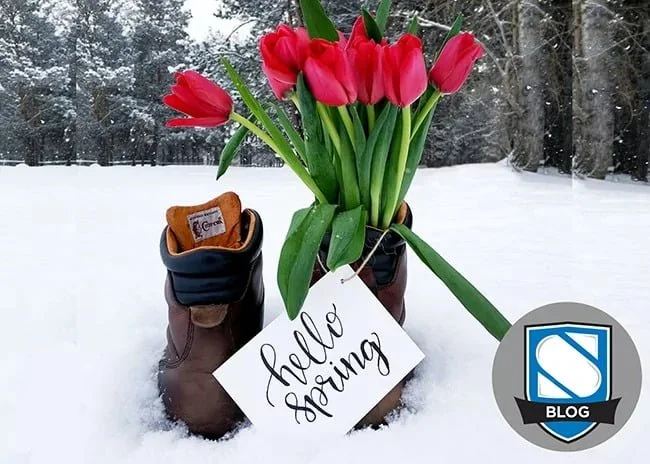 Spring Flooding and Water Concerns in Waterloo Region