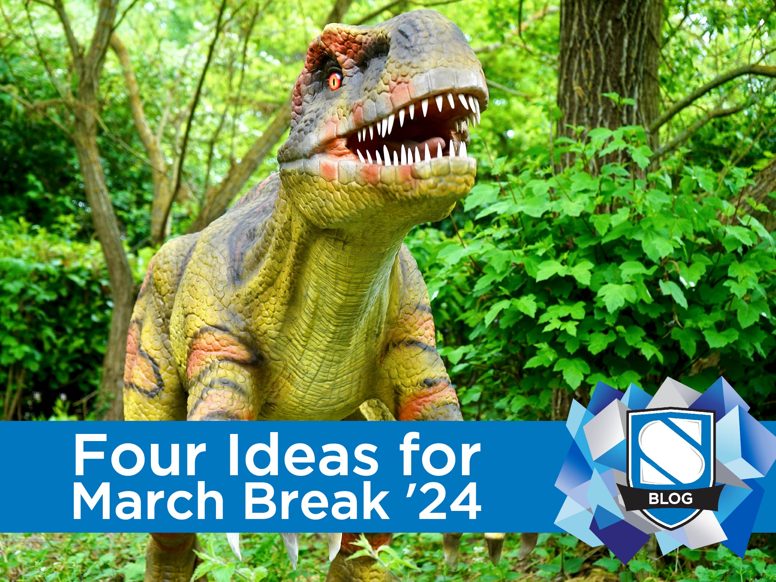 What to do for March Break in Waterloo Region and Beyond