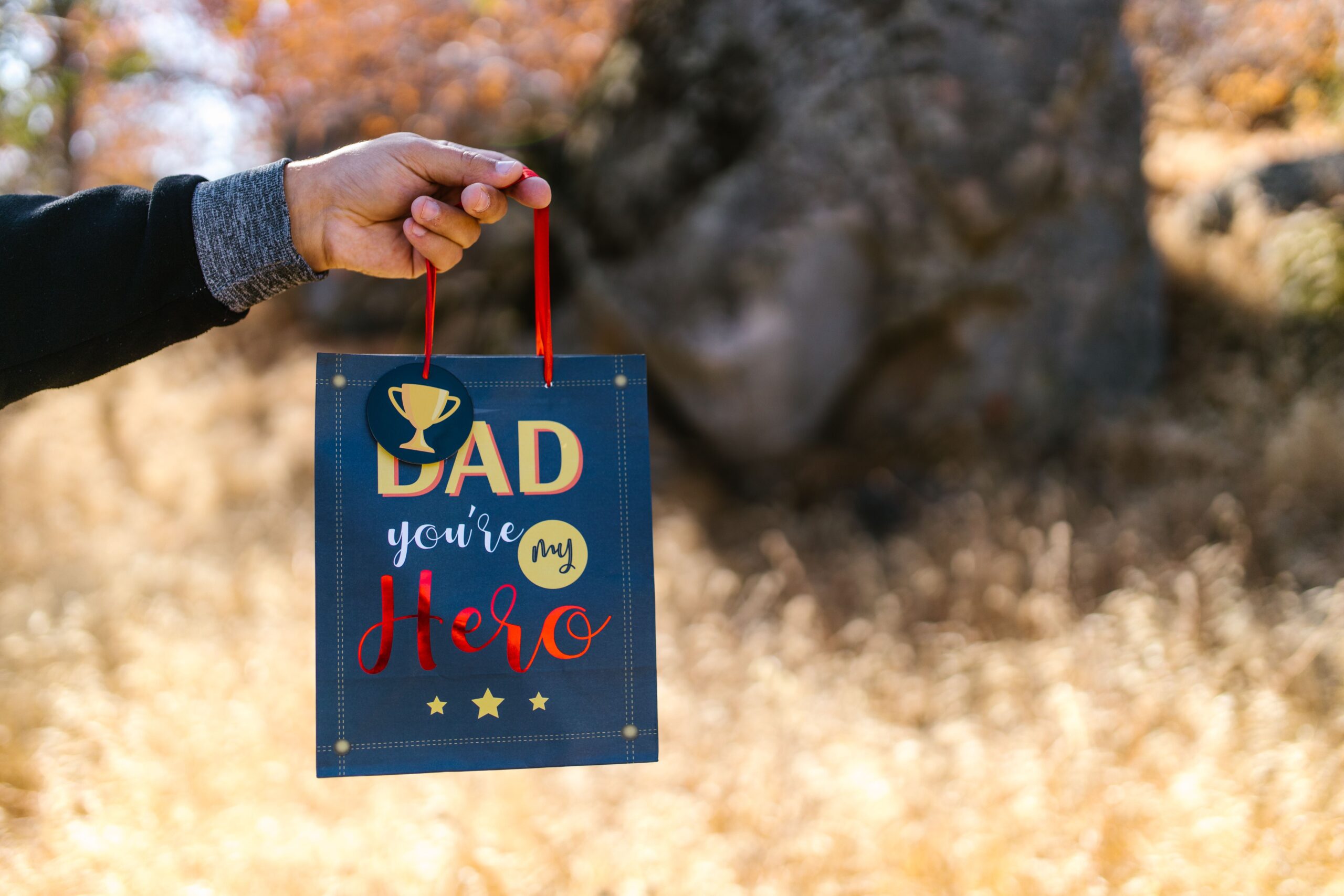 Fathers Day Gift Fathers Day Gift