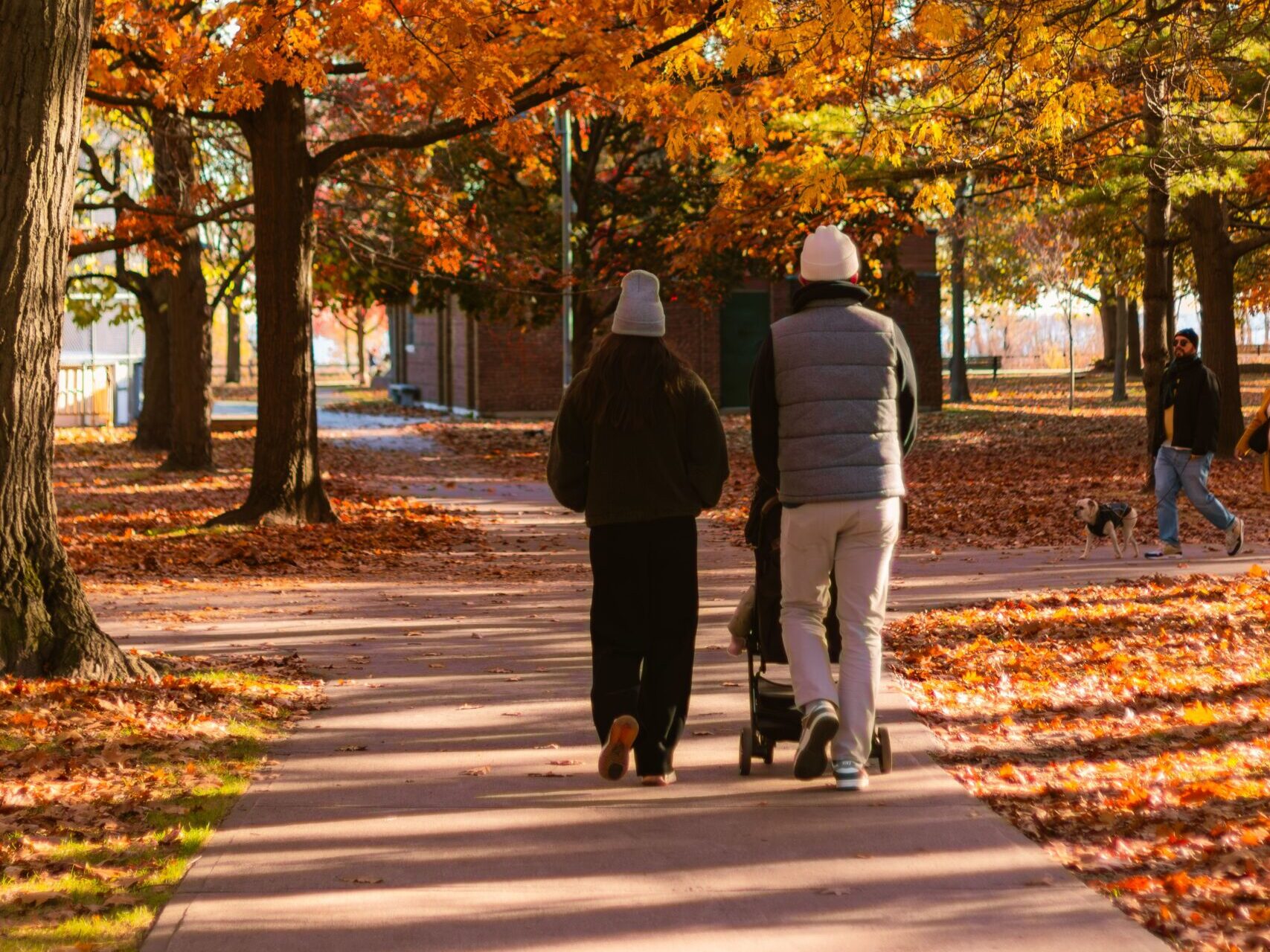 Staebler Suggests: Fall Fun throughout Waterloo Region 🍂🍁